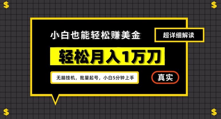 谷歌看广告撸美金2.0,无脑挂机,多号操作,月入1万刀【揭秘】-一个公司创业项目 - 淘金吧
