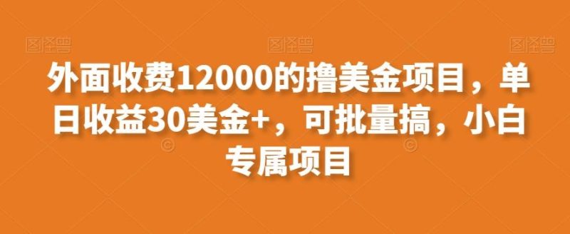 外面收费12000的撸美金项目，单日收益30美金+，可批量搞，小白专属项目-一个公司创业项目 - 淘金吧