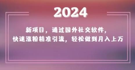 2024新项目,通过国外社交软件,快速涨粉精准引流,轻松做到月入上万【揭秘】-一个公司创业项目 - 淘金吧