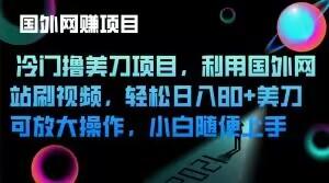 冷门撸美刀项目，利用国外网站刷视频，轻松日入80+美刀，可放大操作，小白随便上手-一个公司创业项目 - 淘金吧