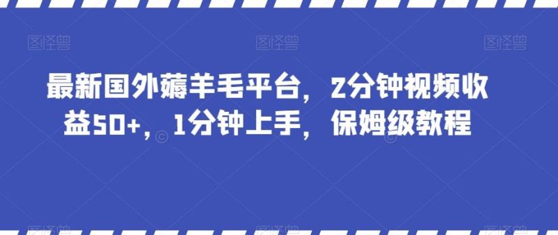 最新国外薅羊毛平台,2分钟视频收益50+,1分钟上手,保姆级教程【揭秘】-一个公司创业项目 - 淘金吧