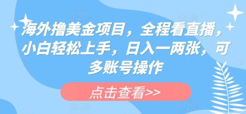 海外撸美金项目,全程看直播,小白轻松上手,日入一两张,可多账号操作【揭秘】-一个公司创业项目 - 淘金吧