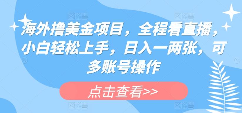 海外撸美金项目,全程看直播,小白轻松上手,日入一两张,可多账号操作【揭秘】
