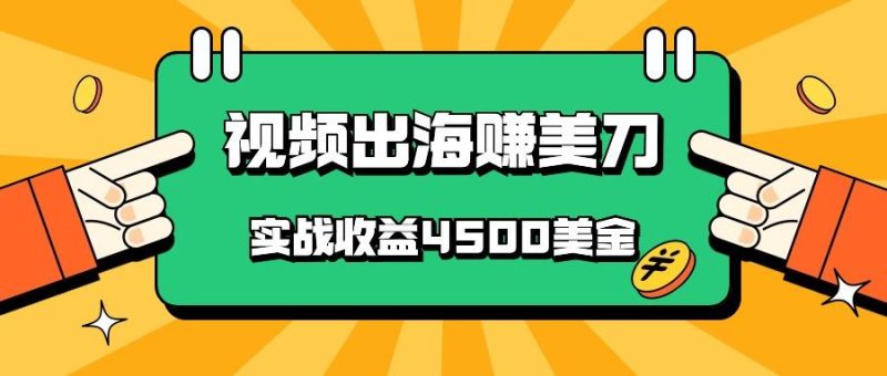 国内爆款视频出海赚美刀,实战收益4500美金,批量无脑搬运,无需经验直接上手-一个公司创业项目 - 淘金吧