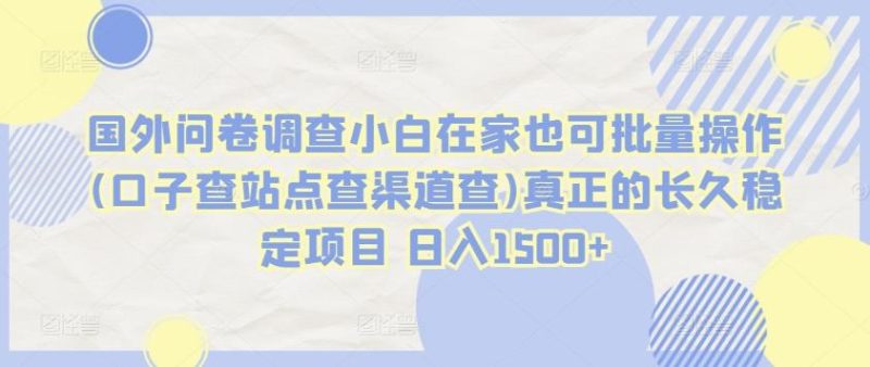 国外问卷调查小白在家也可批量操作(口子查站点查渠道查)真正的长久稳定项目 日入1500+【揭秘】-一个公司创业项目 - 淘金吧