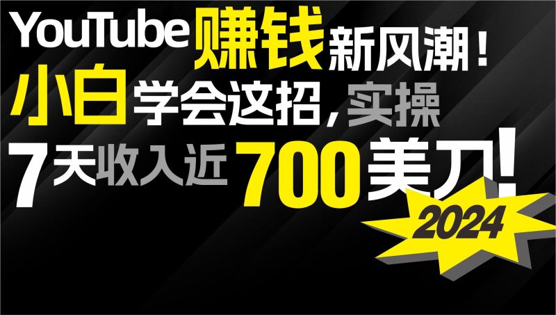 (9647期)2024 YouTube赚钱新风潮!小白学会这招,7天收入近7百美金!-一个公司创业项目 - 淘金吧