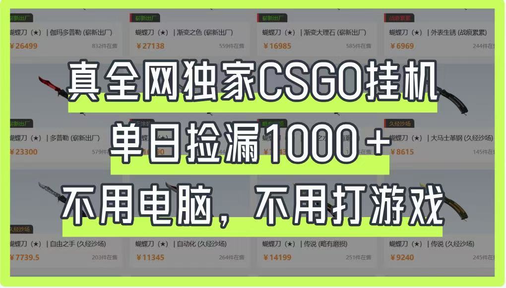 图片[1]-真全网独家CSGO挂机，单日捡漏1000+，不用电脑，不用养号-云创网