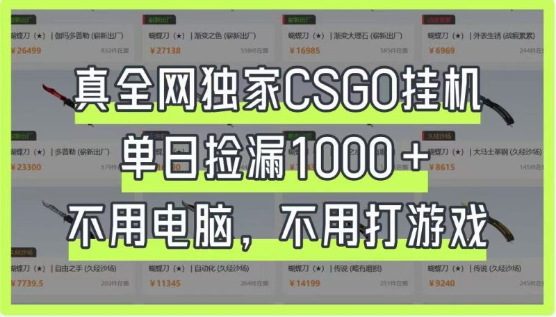 真全网独家CSGO挂机，单日捡漏1000+，不用电脑，不用养号-一个公司创业项目 - 淘金吧