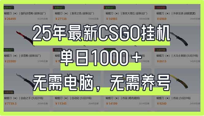25年最新CSGO挂机系统，单日1000+，无需电脑，无需养号，0基础可上手-一个公司创业项目 - 淘金吧
