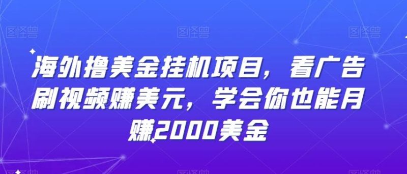 海外撸美金挂机项目，看广告刷视频赚美元，学会你也能月赚2000美金-一个公司创业项目 - 淘金吧
