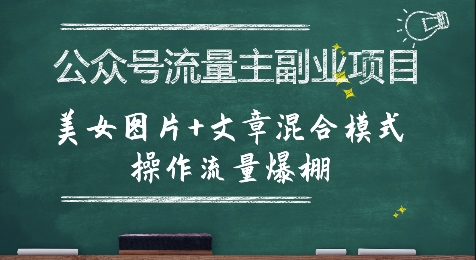 公众号流量主副业项目,美女图片+文章混合模式操作流量爆棚-一个公司创业项目 - 淘金吧