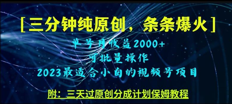 三分钟制作视频号纯原创,条条爆款,轻松月入过万【揭秘】-一个公司创业项目 - 淘金吧