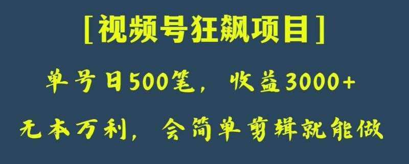 日收款500笔,纯利润3000+,视频号狂飙项目,会简单剪辑就能做【揭秘】-一个公司创业项目 - 淘金吧