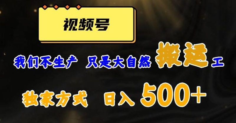 视频号轻松搬运日赚500+,一个1分钟1条原创视频【揭秘】-一个公司创业项目 - 淘金吧