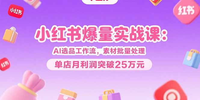 小红书爆量实战课:AI选品工作流,素材批量处理,单店月利润突破25万元-一个公司创业项目 - 淘金吧