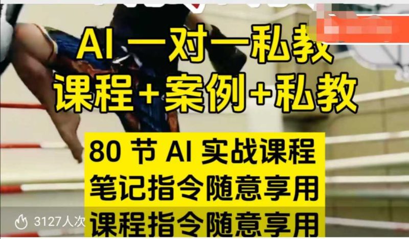 AI指令实战课，课程+案例，80节AI实战课程，笔记指令随意享用，课程指令随意享用(更新7月)-一个公司创业项目 - 淘金吧