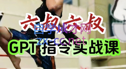 六叔的AI指令实战课(更新7月)-一个公司创业项目 - 淘金吧