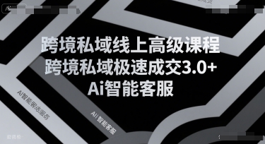 跨境私域线上高级课程，跨境私域极速成交3.0+Ai智能客服-一个公司创业项目 - 淘金吧