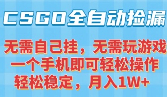 CSGO自动捡漏项目,最新独家玩法,一个手机可操作,新手小白轻松月入1W+,操作简单易上手【揭秘】-一个公司创业项目 - 淘金吧