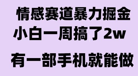 情感暴力掘金项目,新人操作一周挣了2W,长期稳定小白可做【揭秘】-一个公司创业项目 - 淘金吧