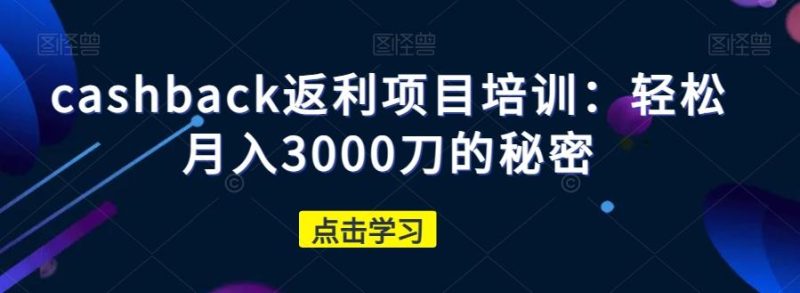cashback返利项目培训:轻松月入3000刀的秘密-一个公司创业项目 - 淘金吧