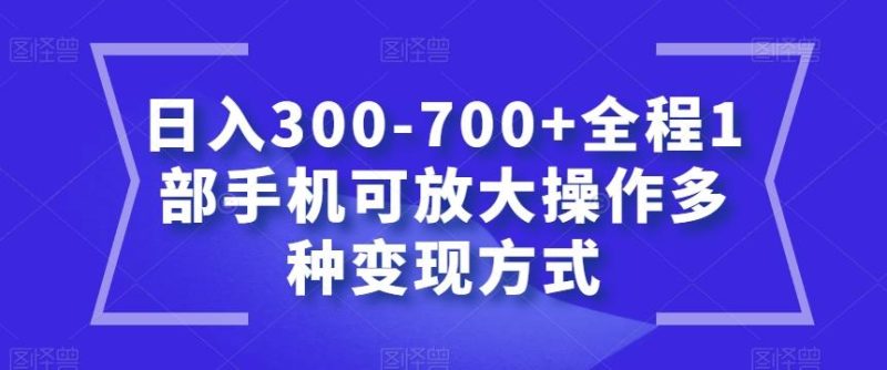 日入300-700+全程1部手机可放大操作多种变现方式【揭秘】-一个公司创业项目 - 淘金吧