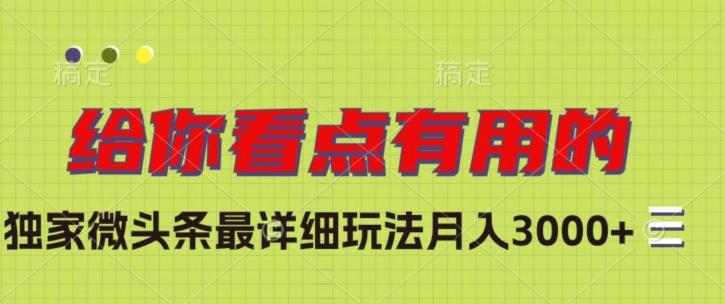 独家微头条最详细玩法，月入3000+【揭秘】-一个公司创业项目 - 淘金吧