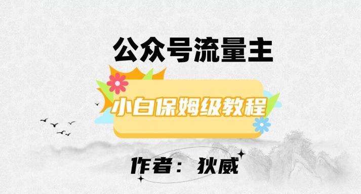 最新红利赛道公众号流量主项目，从0-1每天十几分钟，收入1000+【揭秘】-一个公司创业项目 - 淘金吧