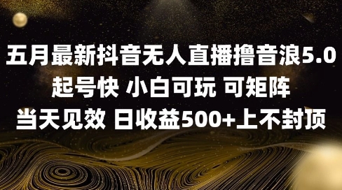 2025五月最新无人直播撸音浪单日产出5张+实操教程【揭秘】-一个公司创业项目 - 淘金吧