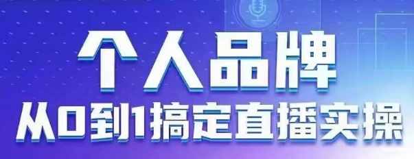 个人品牌：从0到1搞定直播实操，用直播为你的个人品牌赋能，六大实操板块，放大个人影响力-一个公司创业项目 - 淘金吧