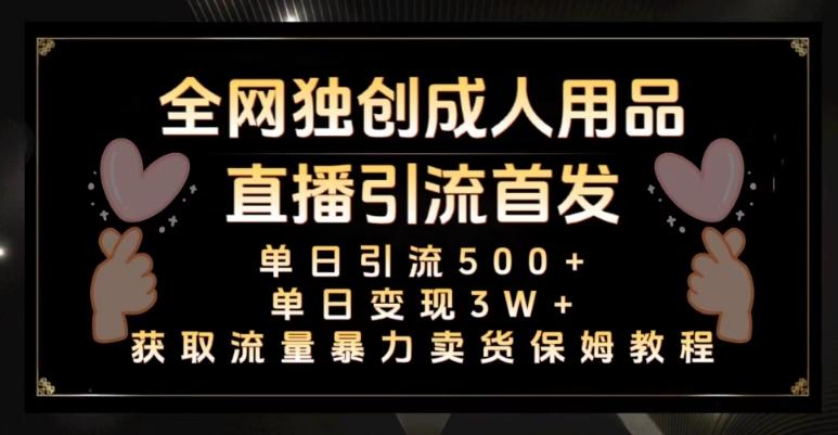 全网独创真人主播+无人直播单日引流500+，橙人用品暴力卖货单日变现3W+保姆似教学2.0【揭秘】-一个公司创业项目 - 淘金吧
