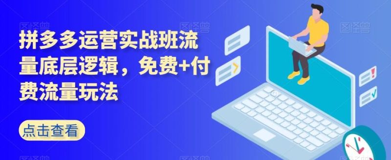 拼多多运营实战班流量底层逻辑,免费+付费流量玩法-一个公司创业项目 - 淘金吧