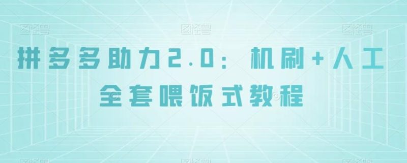 拼多多助力2.0:机刷+人工全套喂饭式教程【揭秘】-一个公司创业项目 - 淘金吧