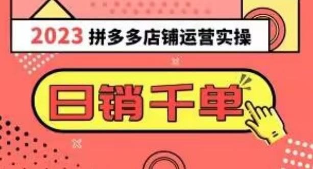 2023拼多多运营实操,每天30分钟日销1000+,爆款选品技巧大全(10节课)