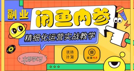 闲鱼精细化运营入门+高阶实战教学，从底层逻辑到轻松变现，多维度玩转闲鱼副业-一个公司创业项目 - 淘金吧