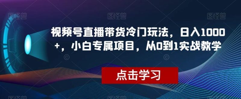 视频号直播带货冷门玩法,日入1000+,小白专属项目,从0到1实战教学【揭秘】-一个公司创业项目 - 淘金吧