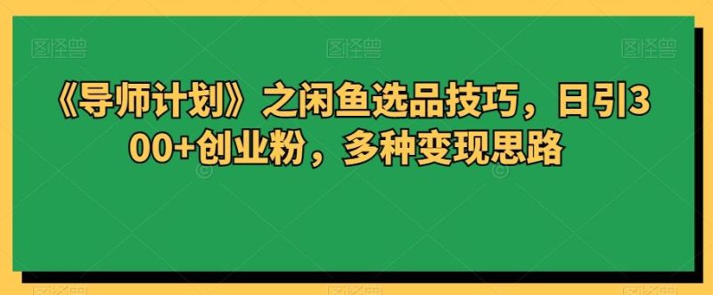 《导师计划》之闲鱼选品技巧,日引300+创业粉,多种变现思路-一个公司创业项目 - 淘金吧