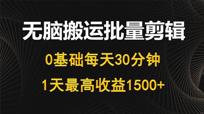 (10008期)每天30分钟，0基础无脑搬运批量剪辑，1天最高收益1500+-一个公司创业项目 - 淘金吧