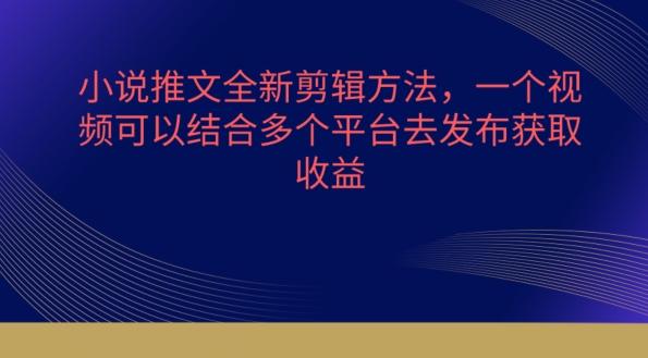 小说推文全新剪辑方法，一个视频可以结合多个平台去发布获取【揭秘】-一个公司创业项目 - 淘金吧