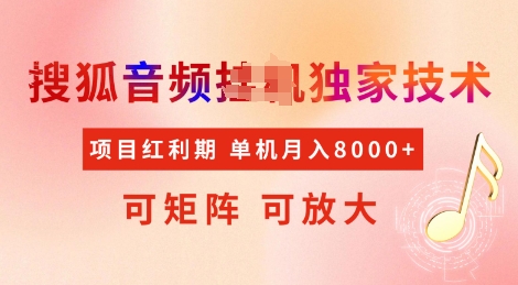 全网首发搜狐音频挂JI独家技术,项目红利期,可矩阵可放大,稳定月入8k【揭秘】-一个公司创业项目 - 淘金吧