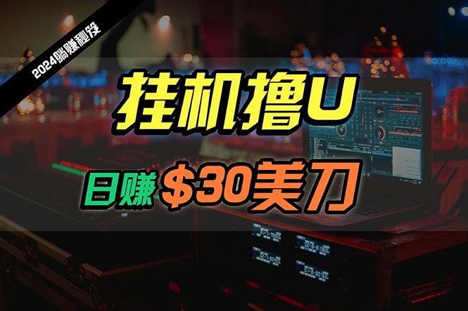 (10013期)日赚30美刀，2024最新海外挂机撸U内部项目，全程无人值守，可批量放大-一个公司创业项目 - 淘金吧
