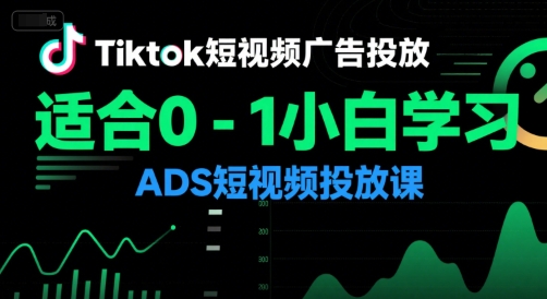 Tiktok短视频广告投放,适合0-1小白学习ADS短视频投放课-一个公司创业项目 - 淘金吧