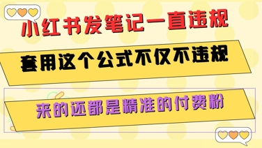 小红书发笔记一直违规,套用这个公式不仅不违规,来的还都是精准的付费粉-一个公司创业项目 - 淘金吧