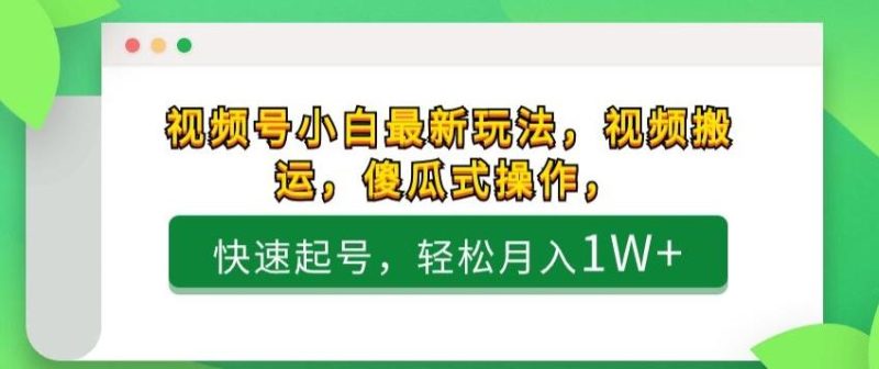 视频号小白最新玩法,视频搬运,傻瓜式操作,快速起号,轻松月入1W+-一个公司创业项目 - 淘金吧