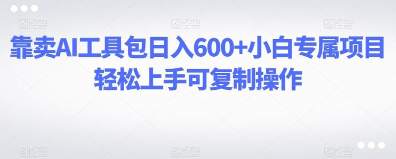 靠卖AI工具包日入600+小白专属项目轻松上手可复制操作-一个公司创业项目 - 淘金吧