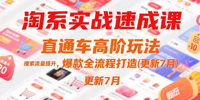 淘系实战速成课，直通车高阶玩法，搜索流量提升，爆款全流程打造(更新7月-一个公司创业项目 - 淘金吧