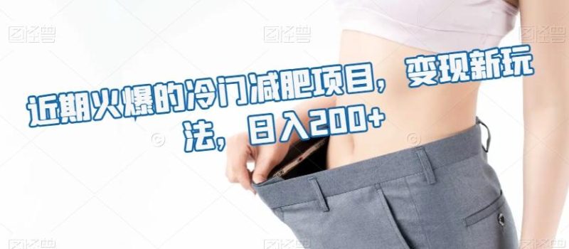 近期火爆的冷门减肥项目，变现新玩法，日入200+-一个公司创业项目 - 淘金吧