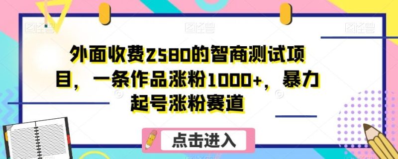 外面收费2580的智商测试项目,一条作品涨粉1000+,暴力起号涨粉赛道【揭秘】-一个公司创业项目 - 淘金吧