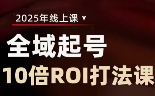 2025全域起号10倍ROI打法课,助你提升直播间的投资回报率-一个公司创业项目 - 淘金吧