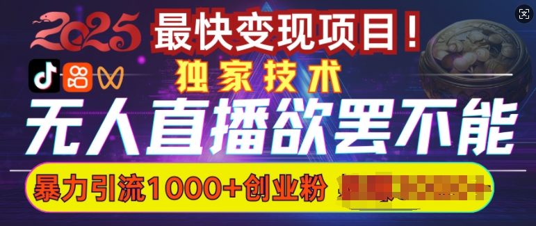 欲罢不能的无人直播引流,超暴力日引流1000+高质量精准创业粉-一个公司创业项目 - 淘金吧